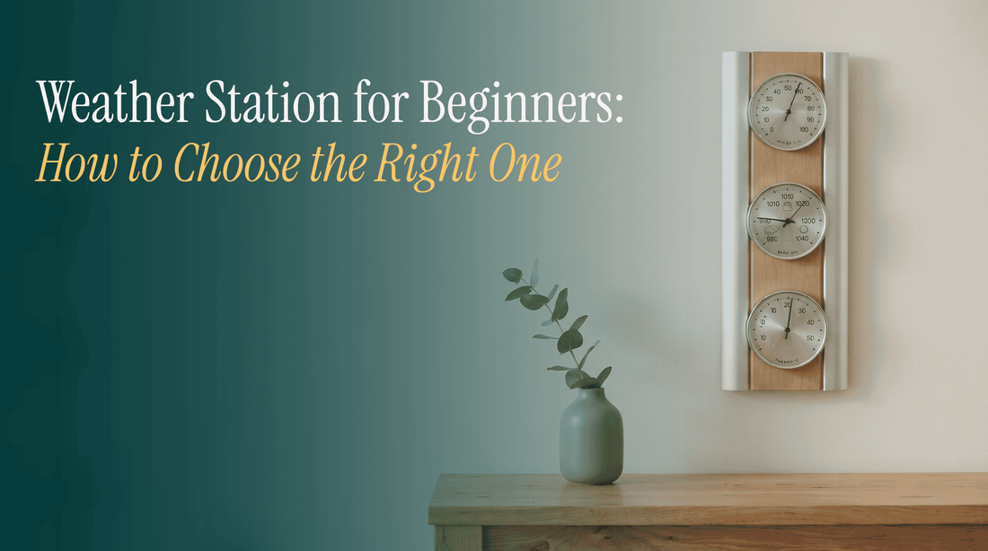 weather-station-for-beginners-how-to-choose-the-right-one